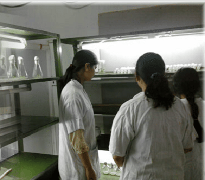 Burdwan Institute of Management & Computer Science Bardhaman Building  Infrastructure & Facilities photo 3